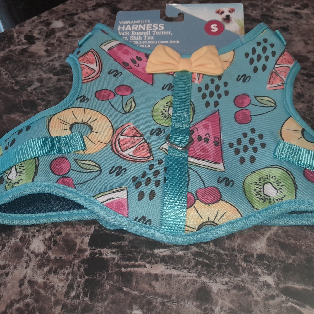 Vibrant fruit  pattern  harness  for dog